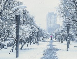 Арваннэгдүгээр сарын цаг агаарын урьдчилсан төлөв