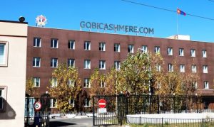 “Говь” ХК-ийн хязгаарлагдмал хариуцлагатай компани болох ажиллагааг зогсоолоо