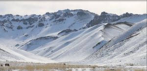 Нийт нутгийн 23 хувьд цастай байна