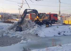 Нийслэлд гурван байршилд халиа, тошин үүсжээ