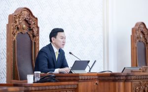 Н.Учрал: Улс төрийн тоглоом улс орны шоглоом болох учиргүй