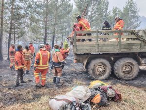 Хөвсгөл аймагт гарсан ой хээрийн түймрийг бүрэн унтраалаа