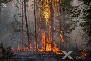 Сэлэнгэ аймагт ой хээрийн түймрийг бүрэн унтраахаар ажиллаж байна