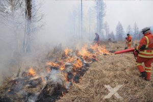 Ой, хээрийн 2 гал түймрийг унтраахаар ажиллаж байна