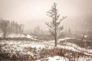 Улаанбаатарт 10 хэм дулаан