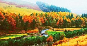 Улаанбаатарт 10 хэм дулаан
