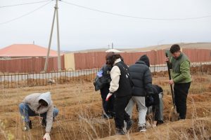 “Шинэ Налайх” хорооллын авто зам дагуу 22,384 мод тарилаа