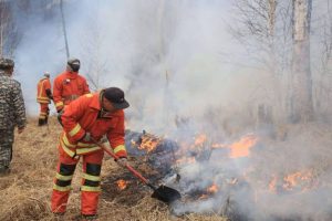 Ой, хээрийн түймэр тавьсан 7 хэргийг шүүхээр шийдвэрлэлээ